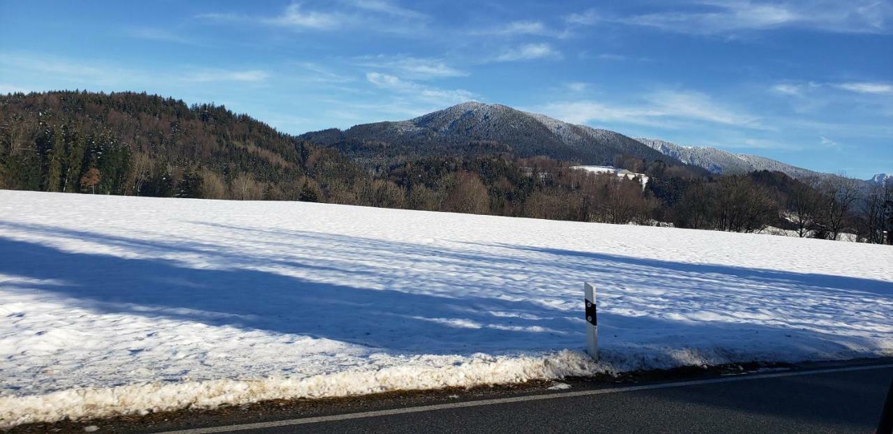 Inzellhaus Ferienwohnung "Alpina" エクステリア 写真