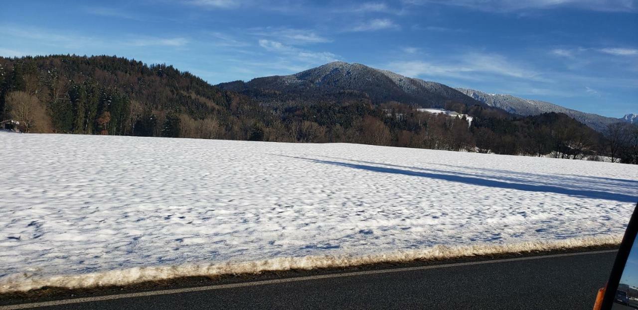 Inzellhaus Ferienwohnung "Alpina" エクステリア 写真