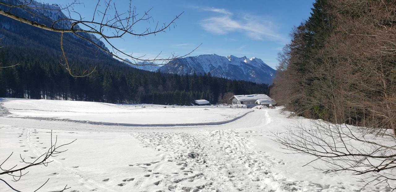 Inzellhaus Ferienwohnung "Alpina" エクステリア 写真